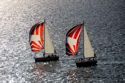 Resize Image (1).jpeg