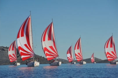 show picture resize (26).jpeg