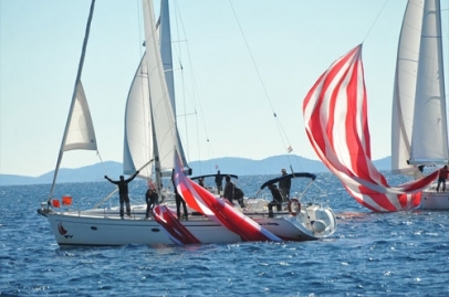 show picture resize (22).jpeg