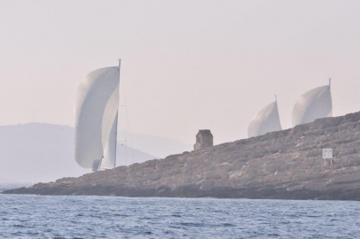 Resize Image (9).jpeg