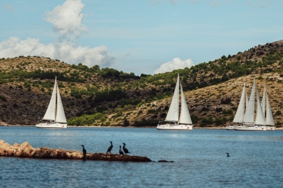 pomurka-ToniKonrad-dan2-96