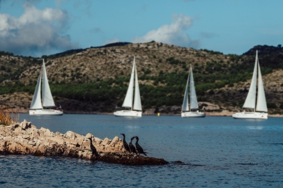 pomurka-ToniKonrad-dan2-99