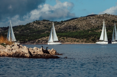 pomurka-ToniKonrad-dan2-101